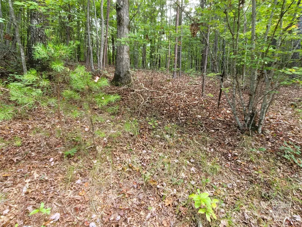 0 Big Level Road Mill Spring, NC 28756