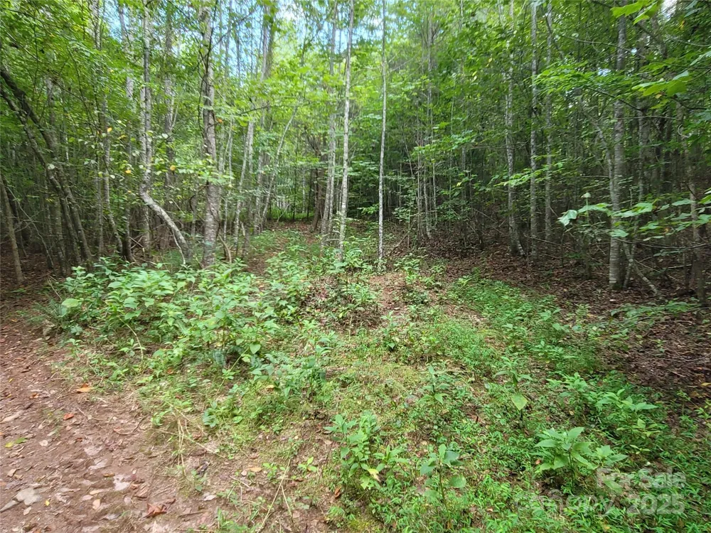 0 Big Level Road Mill Spring, NC 28756