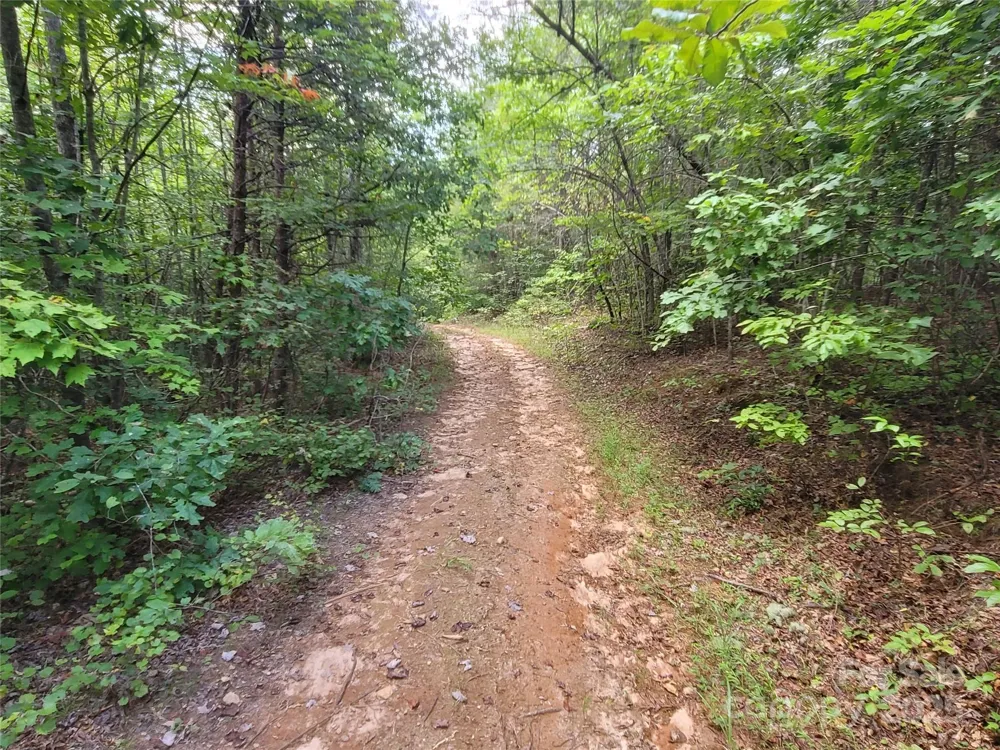 0 Big Level Road Mill Spring, NC 28756