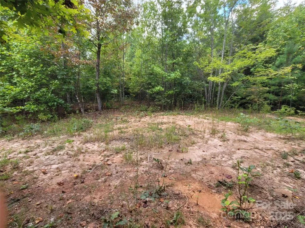0 Big Level Road Mill Spring, NC 28756