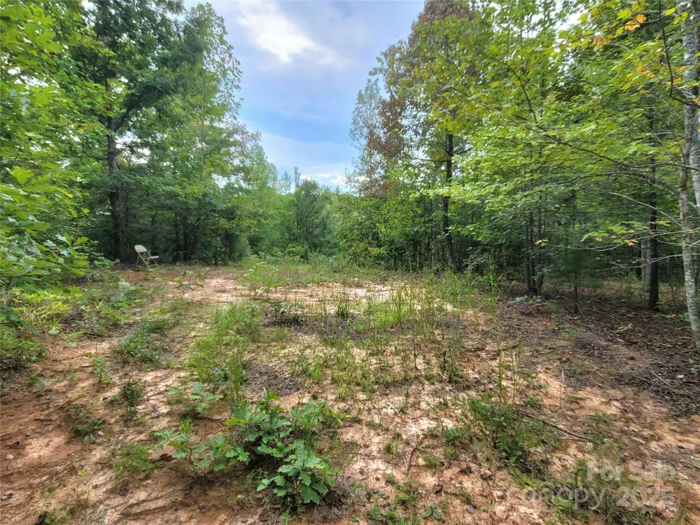 0 Big Level Road Mill Spring, NC 28756