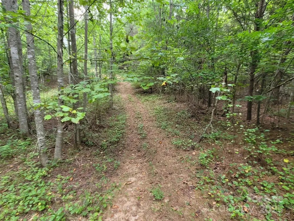 0 Big Level Road Mill Spring, NC 28756