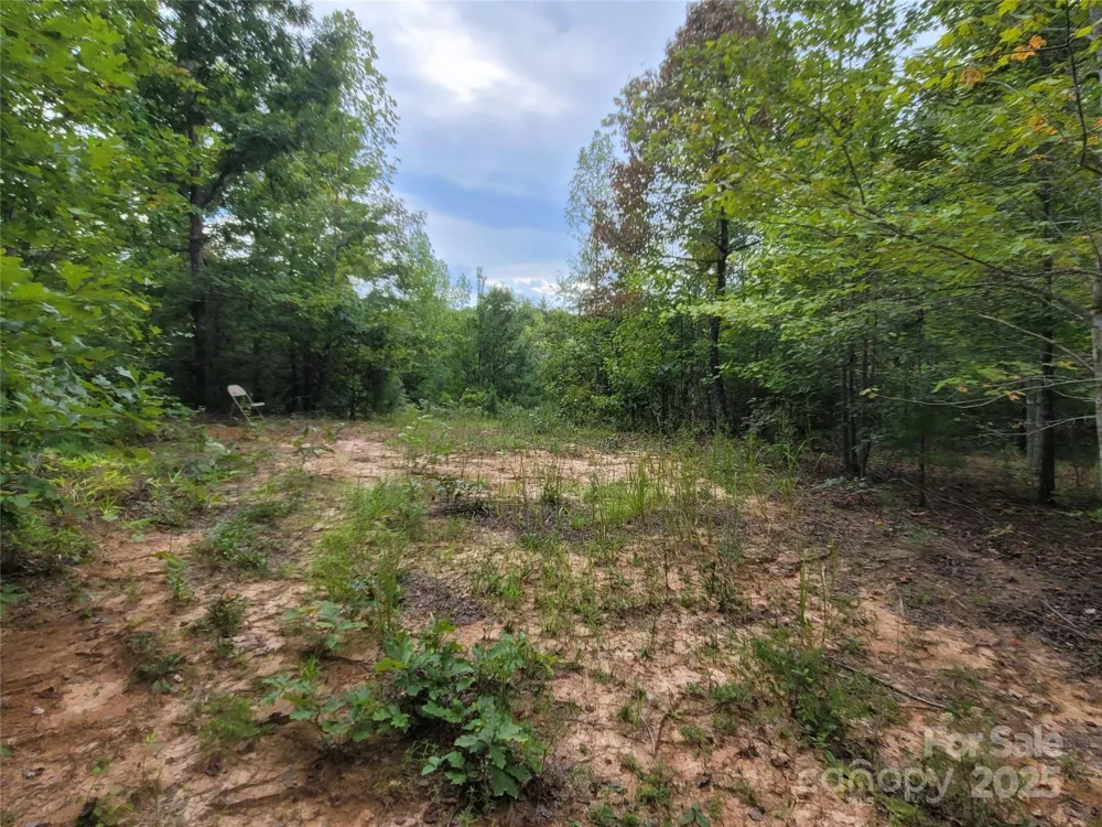 0 Big Level Road Mill Spring, NC 28756