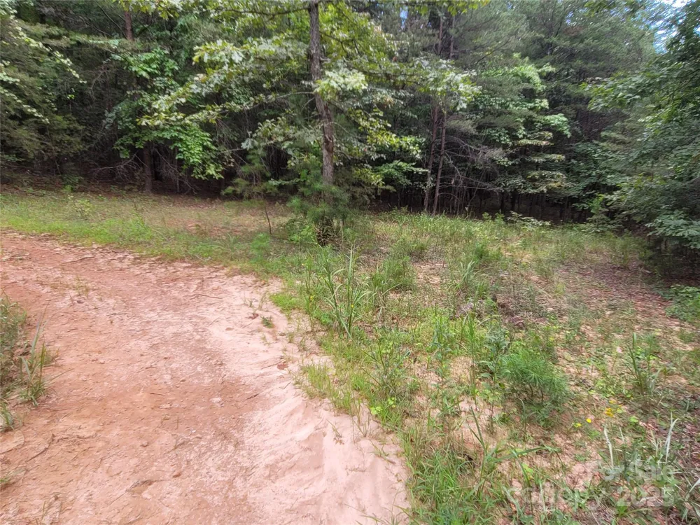 0 Big Level Road Mill Spring, NC 28756
