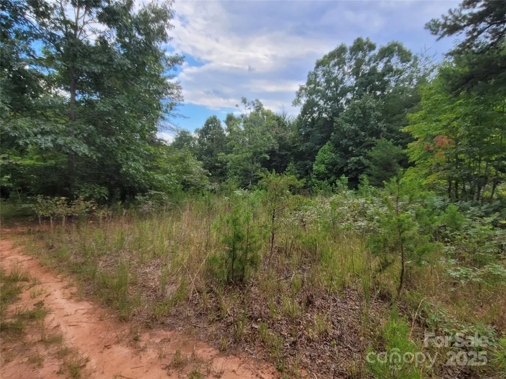 0 Big Level Road Mill Spring, NC 28756