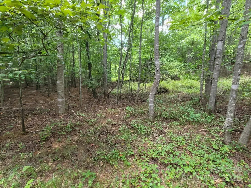 0 Big Level Road Mill Spring, NC 28756