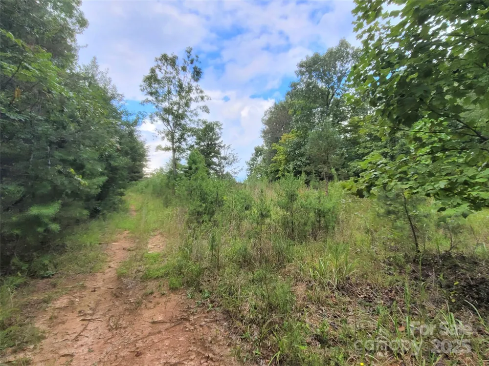 0 Big Level Road Mill Spring, NC 28756