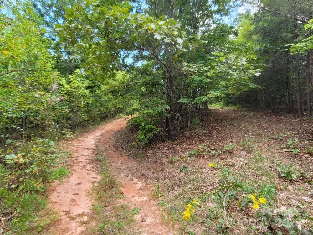 0 Big Level Road Mill Spring, NC 28756