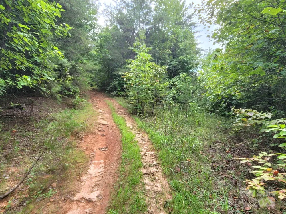 0 Big Level Road Mill Spring, NC 28756