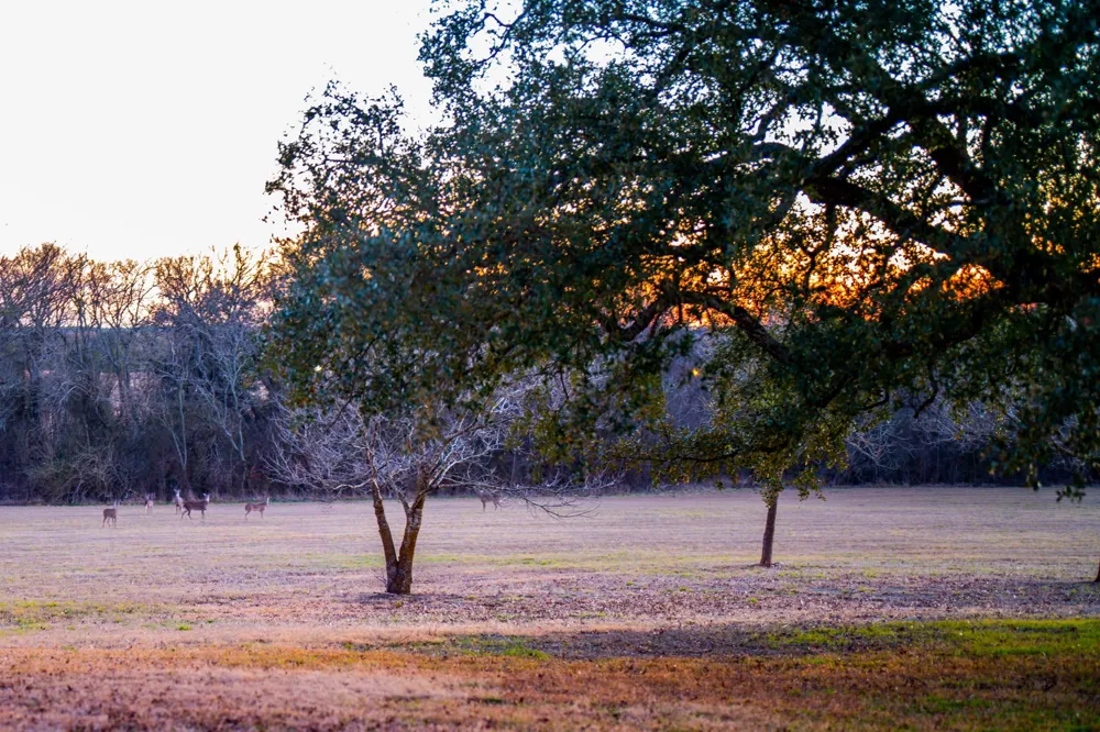 6731 E Fm 1123 Belton, TX 76513