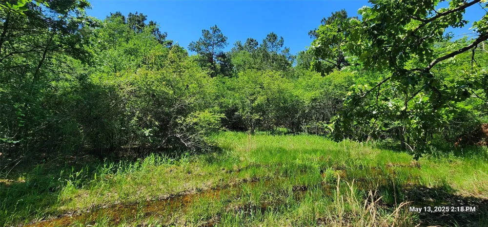 Cr 3233 Clarksville, TX 75426