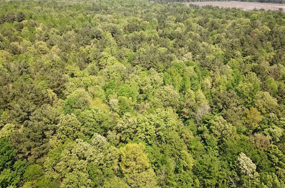Cr 3233 Clarksville, TX 75426