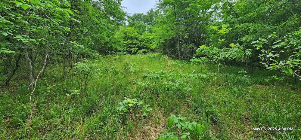Cr 3233 Clarksville, TX 75426