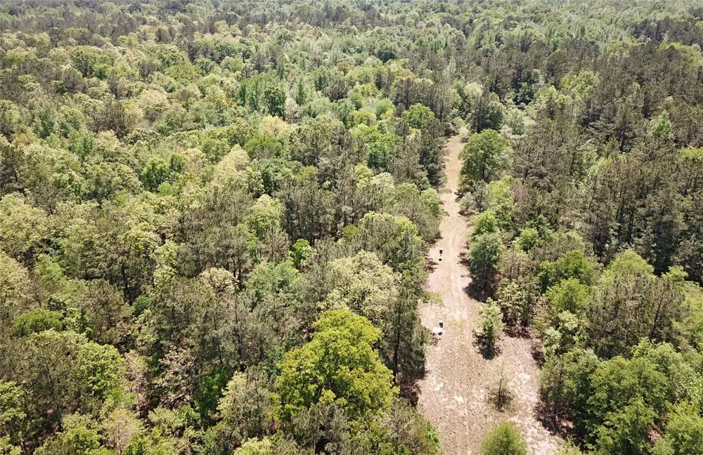 Cr 3233 Clarksville, TX 75426