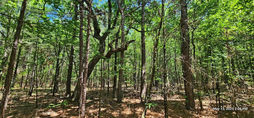 Cr 3233 Clarksville, TX 75426