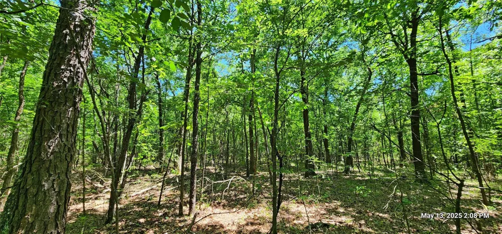 Cr 3233 Clarksville, TX 75426