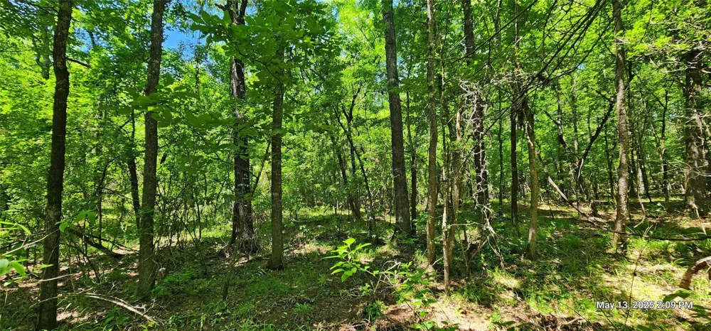 Cr 3233 Clarksville, TX 75426