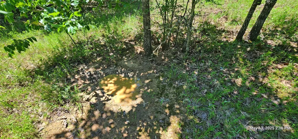 Cr 3233 Clarksville, TX 75426