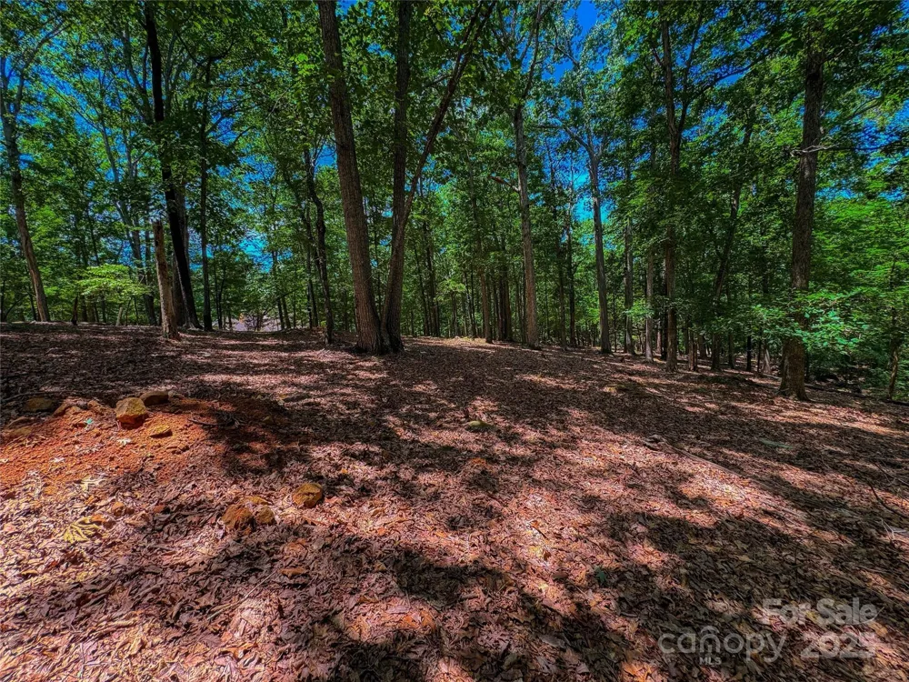1560 Rocky Cove Lane Denton, NC 27239
