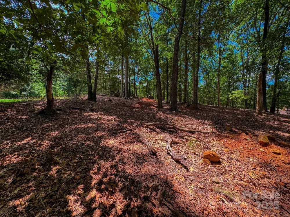 1560 Rocky Cove Lane Denton, NC 27239