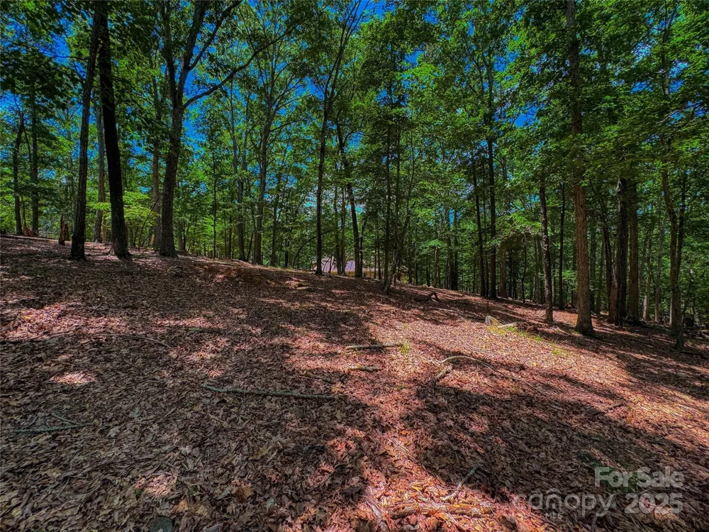 1560 Rocky Cove Lane Denton, NC 27239