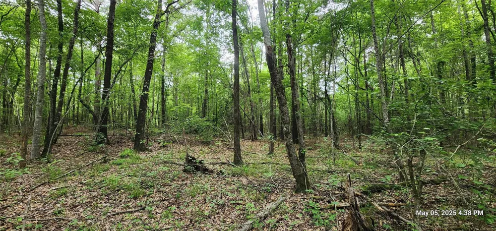 Cr 3230 Clarksville, TX 75426