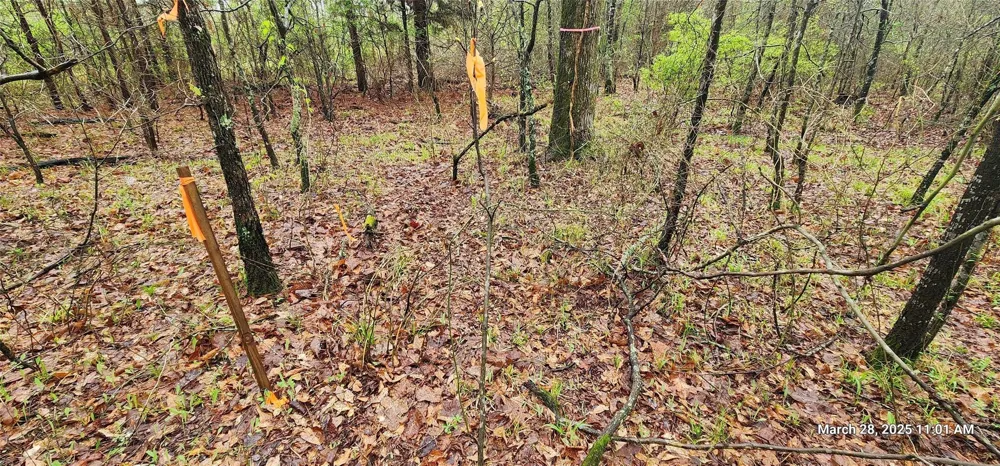 Cr 3230 Clarksville, TX 75426