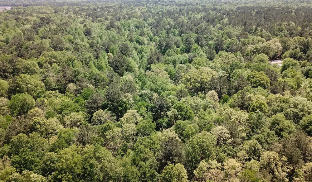 Cr 3230 Clarksville, TX 75426
