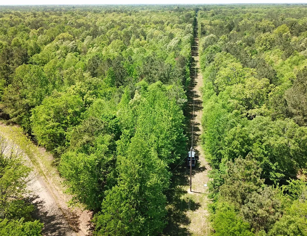 Cr 3230 Clarksville, TX 75426