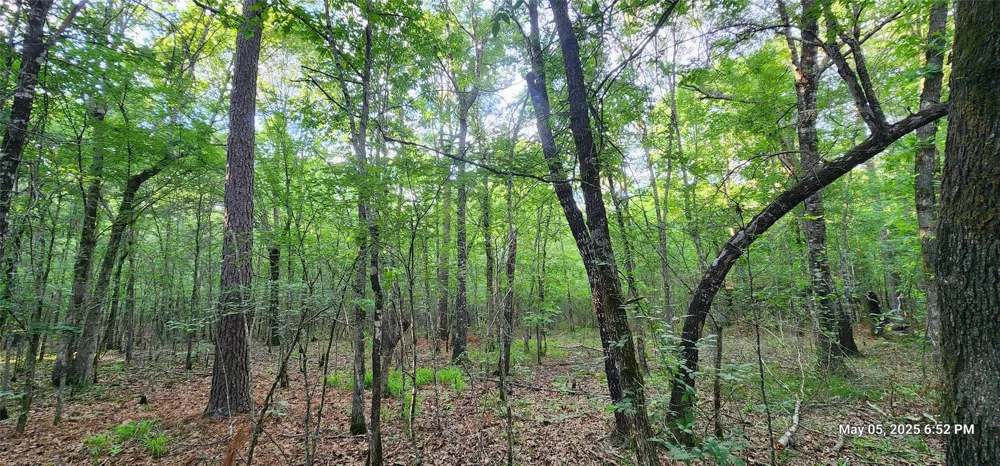 Cr 3230 Clarksville, TX 75426