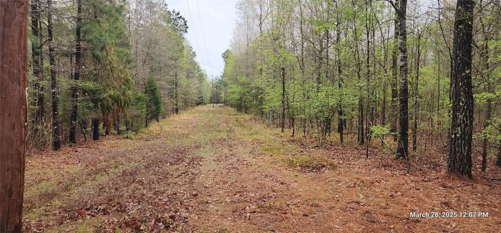 Cr 3230 Clarksville, TX 75426