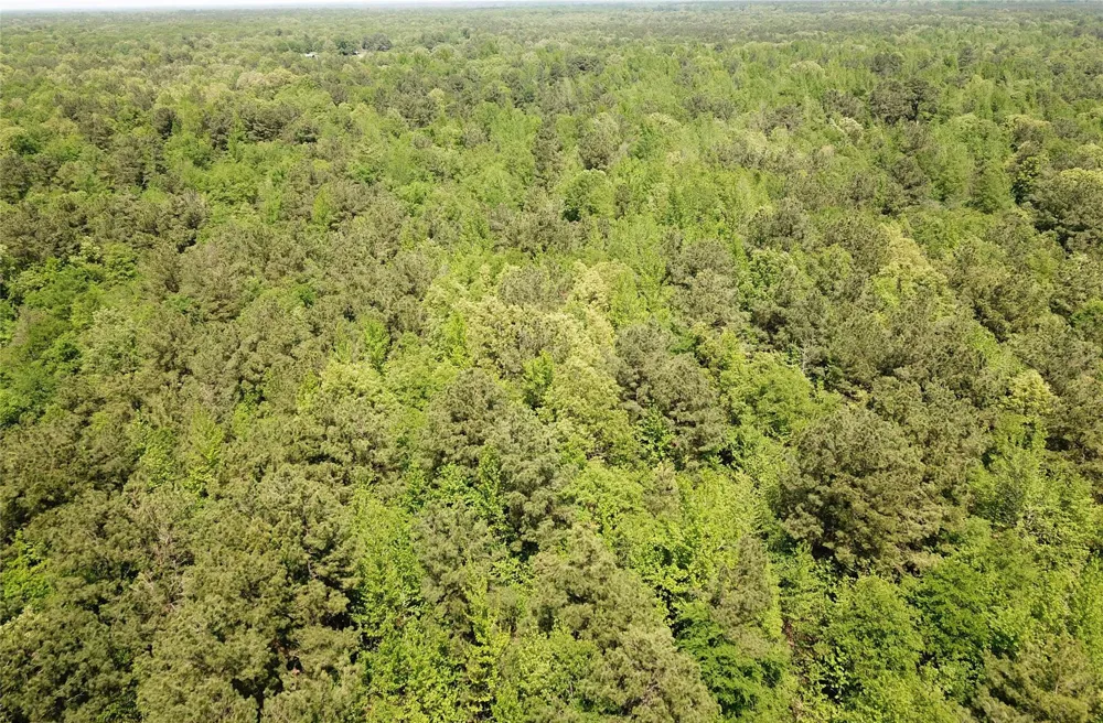 Cr 3233 And Cr 3230 Clarksville, TX 75426