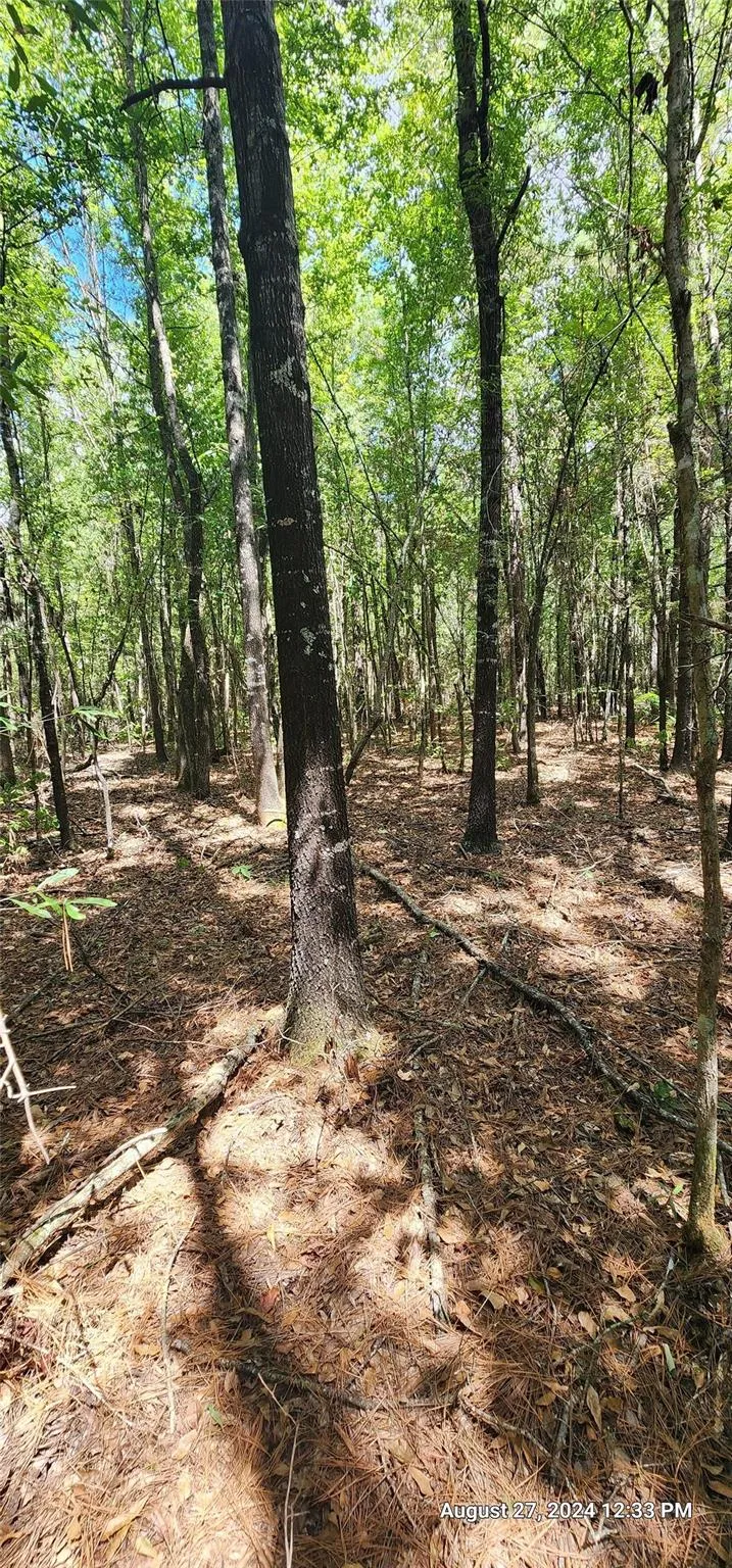 Cr 3233 And Cr 3230 Clarksville, TX 75426