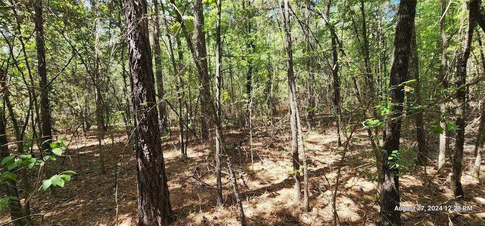 Cr 3233 And Cr 3230 Clarksville, TX 75426