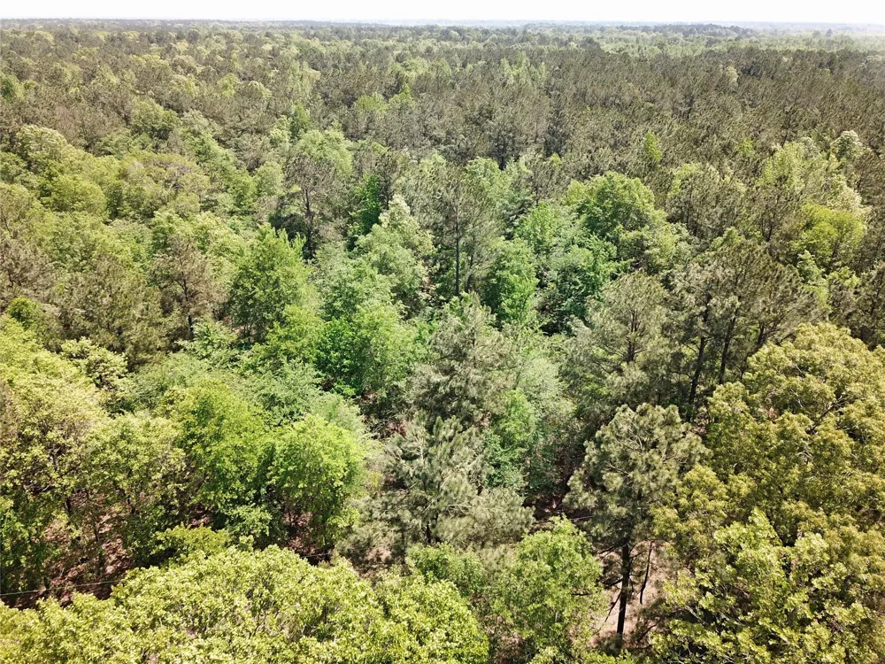 Cr 3233 And Cr 3230 Clarksville, TX 75426