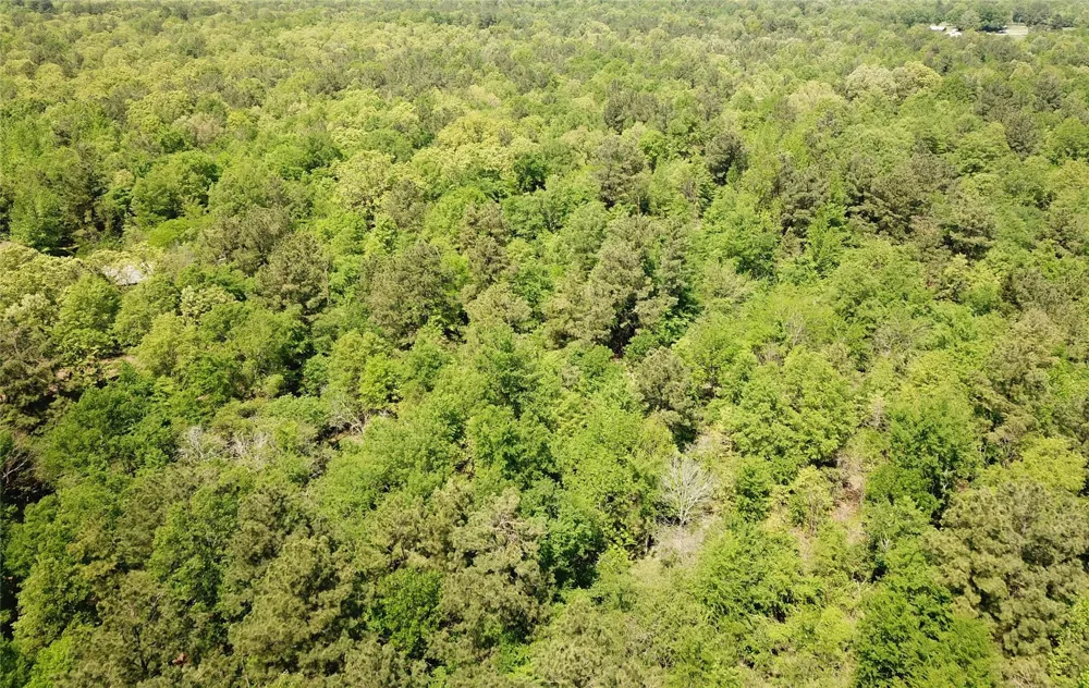 Cr 3233 And Cr 3230 Clarksville, TX 75426