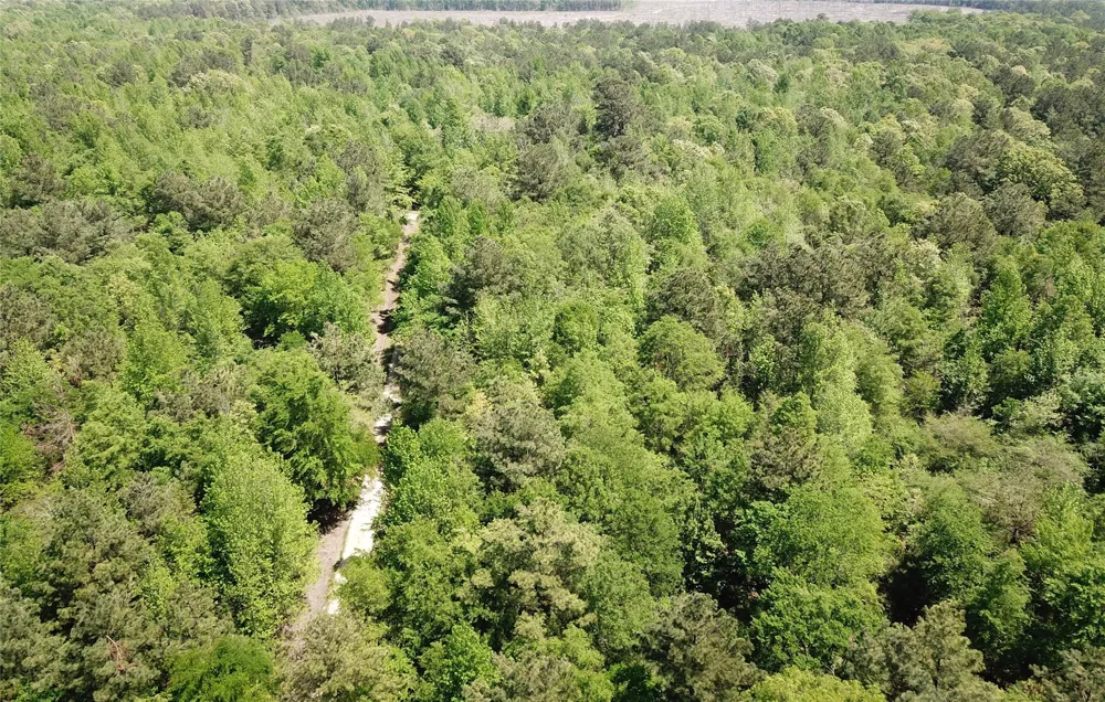 Cr 3233 And Cr 3230 Clarksville, TX 75426