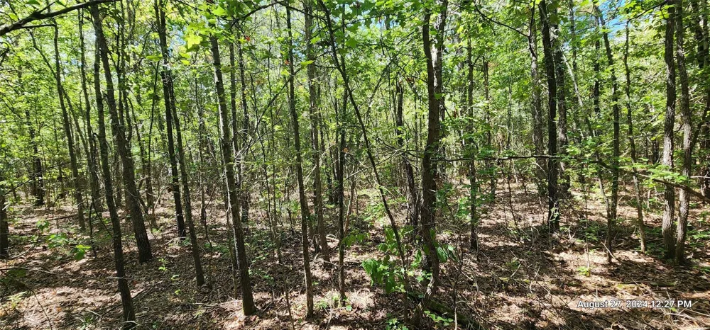 Cr 3233 And Cr 3230 Clarksville, TX 75426