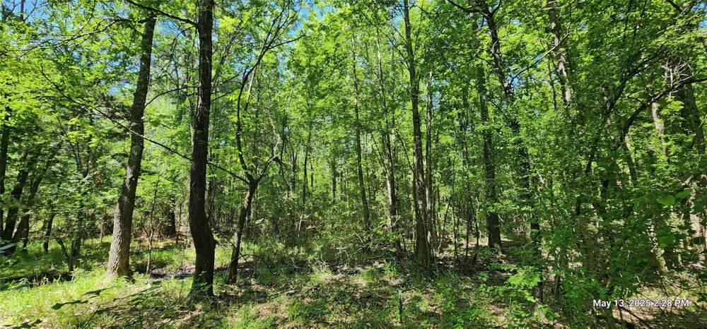 Cr 3233 E And Cr 3230 Clarksville, TX 75426