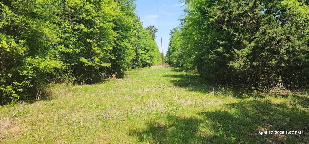 Cr 3233 E And Cr 3230 Clarksville, TX 75426