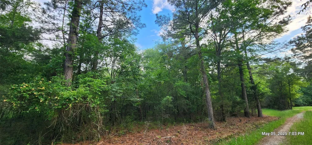 Cr 3233 E And Cr 3230 Clarksville, TX 75426