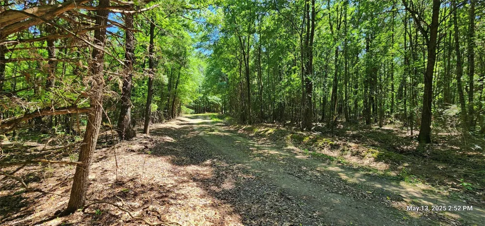 Cr 3233 E And Cr 3230 Clarksville, TX 75426