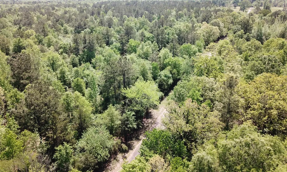 Cr 3233 E And Cr 3230 Clarksville, TX 75426