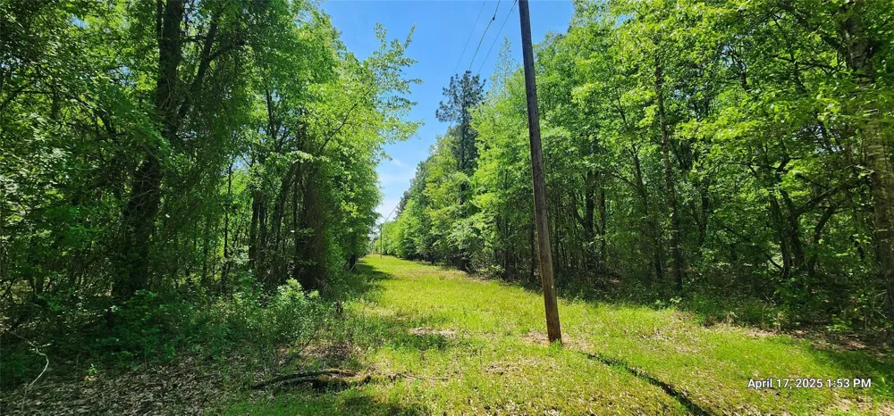 Cr 3233 E And Cr 3230 Clarksville, TX 75426
