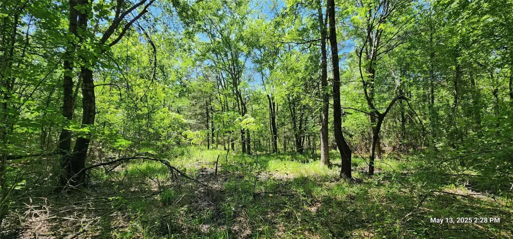 Cr 3233 E And Cr 3230 Clarksville, TX 75426