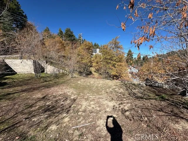 2379 Chicago Drive Running Springs, CA 92382