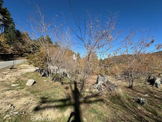 2379 Chicago Drive Running Springs, CA 92382
