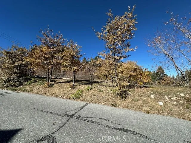 2379 Chicago Drive Running Springs, CA 92382