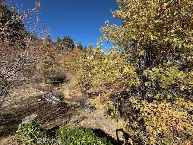2379 Chicago Drive Running Springs, CA 92382