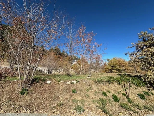 2379 Chicago Drive Running Springs, CA 92382